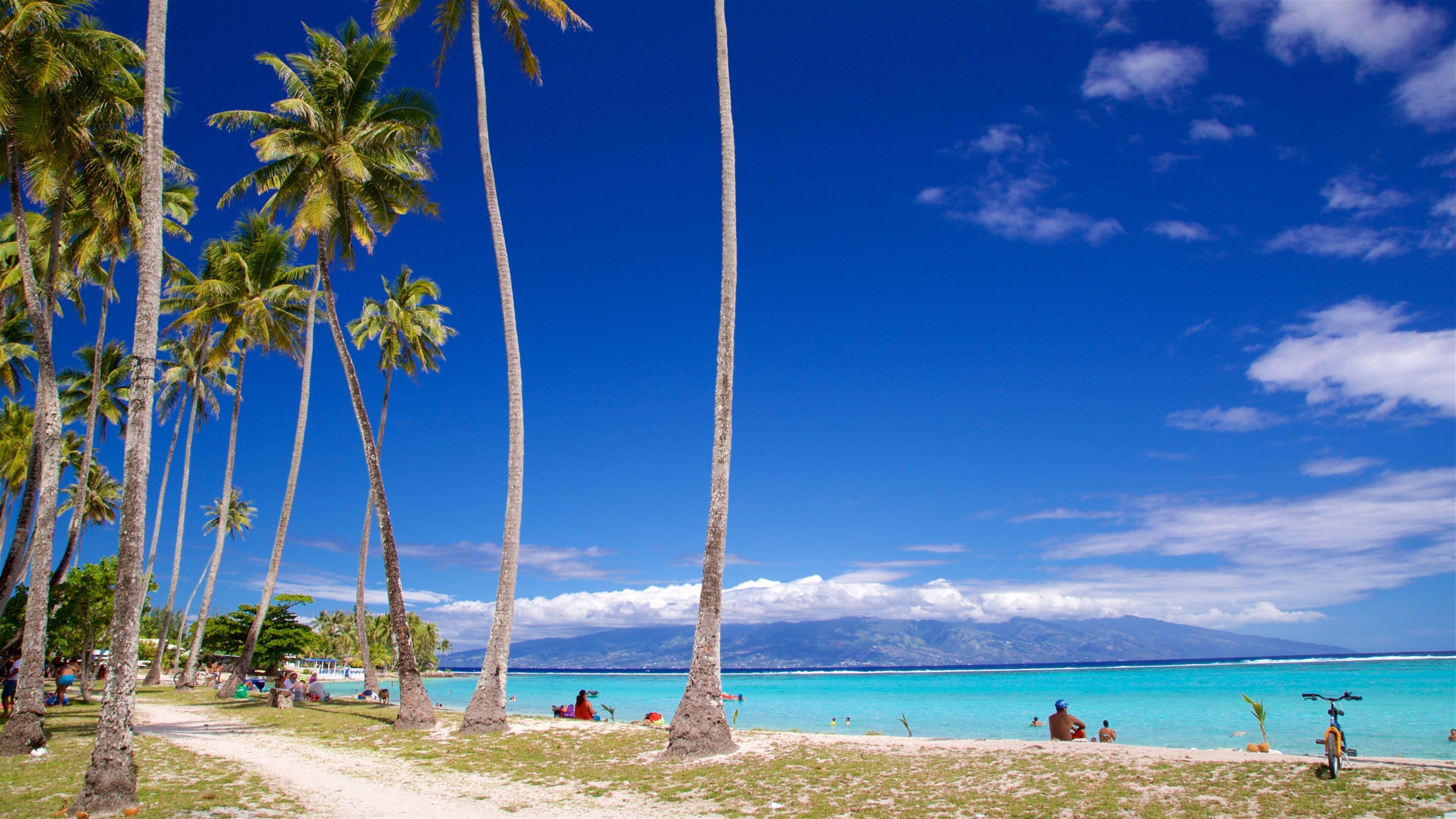A beach with palm trees, clear turquoise water, and mountains in the background.