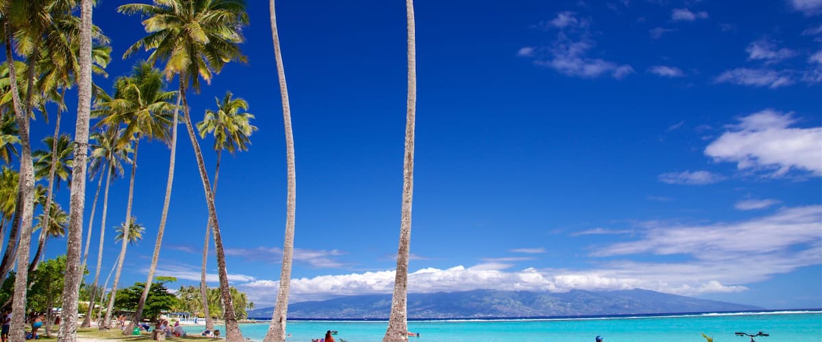 A beach with palm trees, clear turquoise water, and mountains in the background.