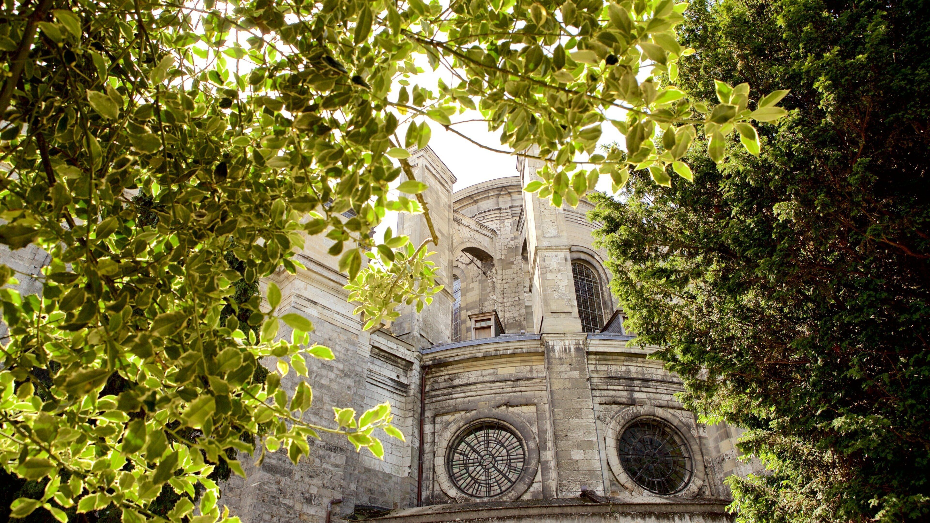 聖母院大教堂 设有 傳統元素