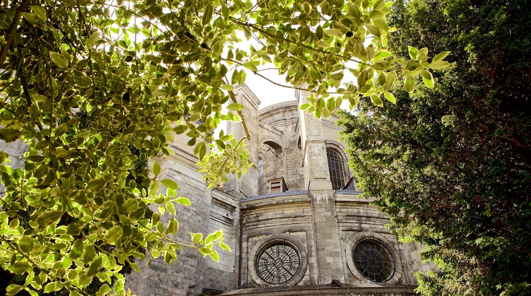 Notre Dame katedral fasiliteter samt kulturarv