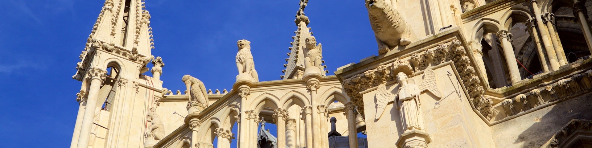 Reims Cathedral 设有 教堂或大教堂, 傳統元素 和 歷史建築