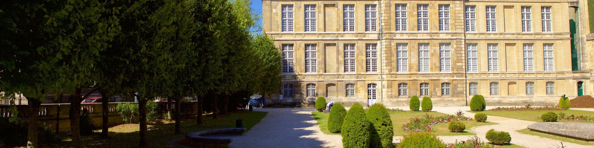 Tau Palace showing chateau or palace, a park and heritage elements
