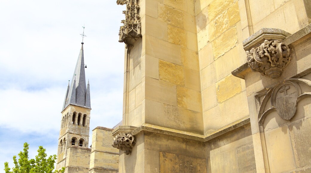 St. Remi Basilica featuring heritage elements and a church or cathedral