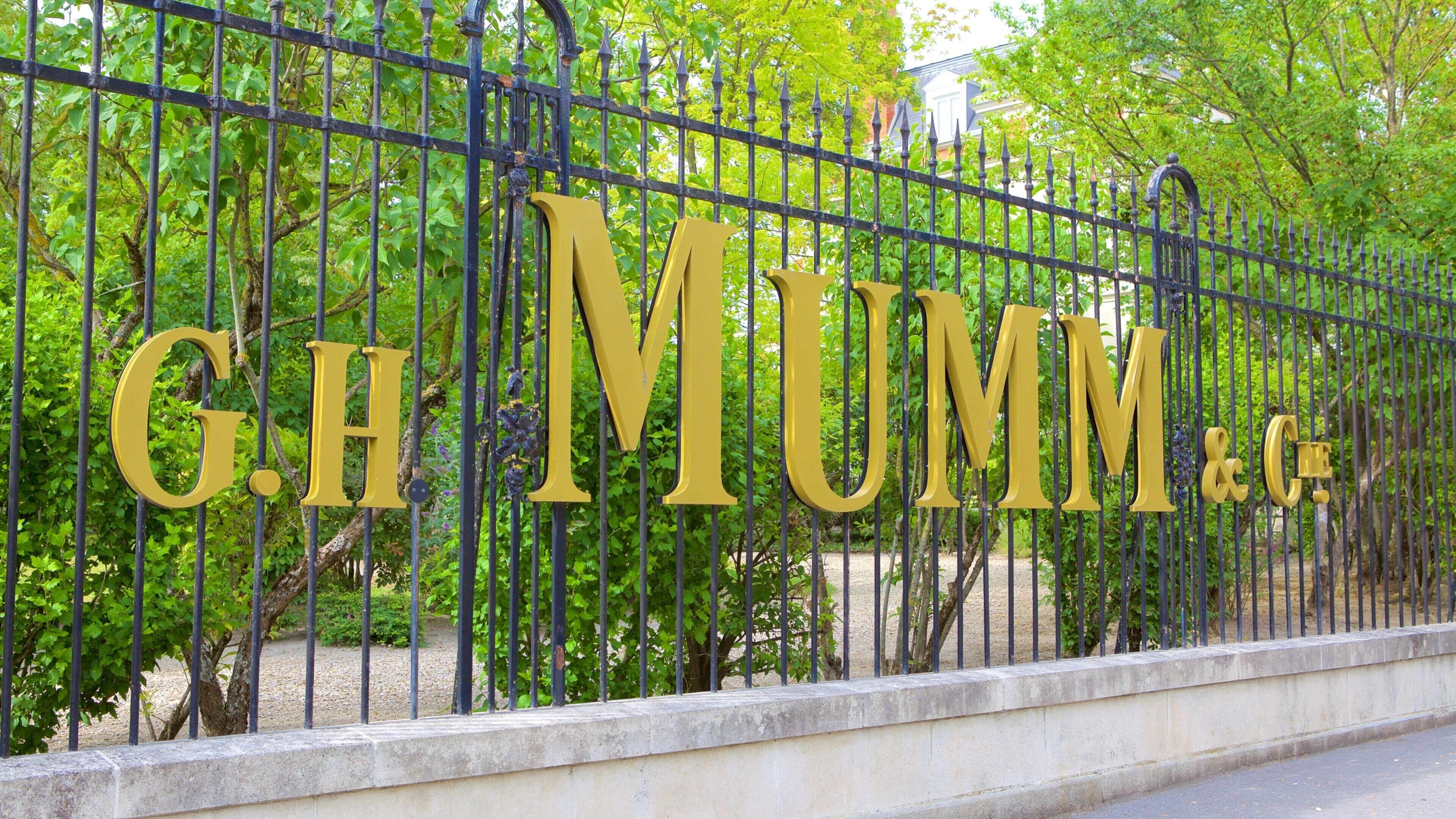 Mumm joka esittää kyltit