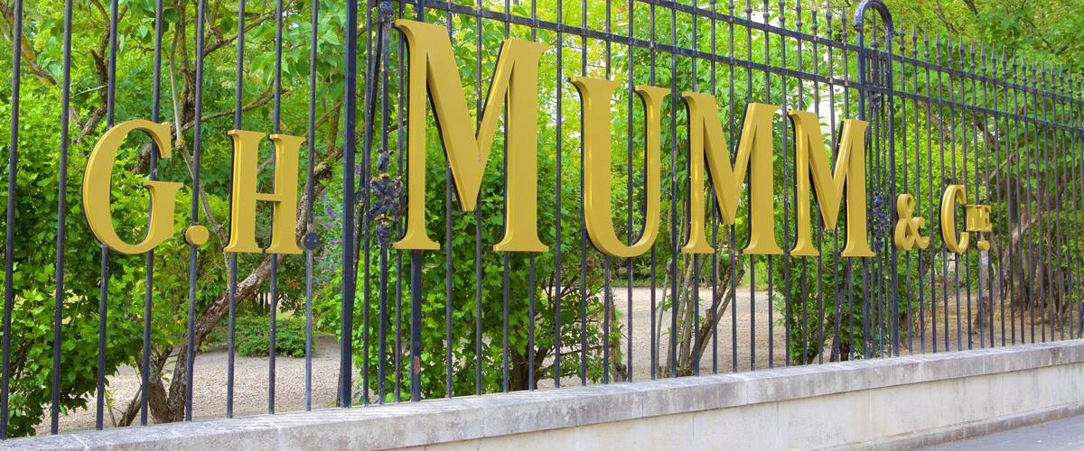 ๋ฉ ์ด ํฌํจ ์ ํธ