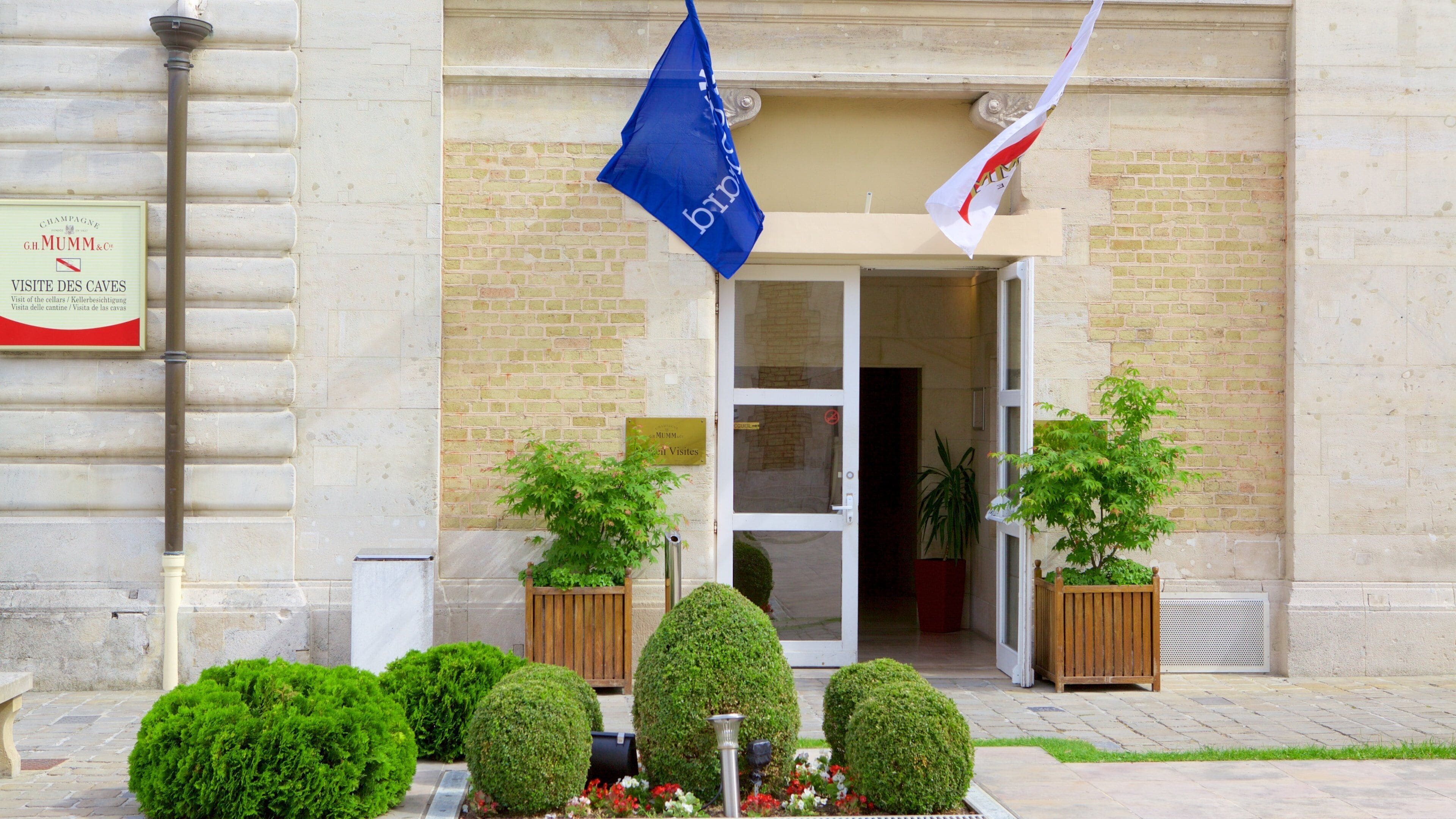 Mumm featuring flowers