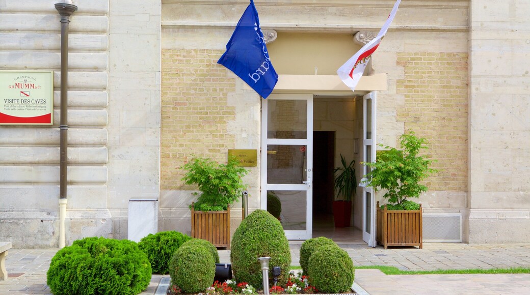 Mumm featuring flowers