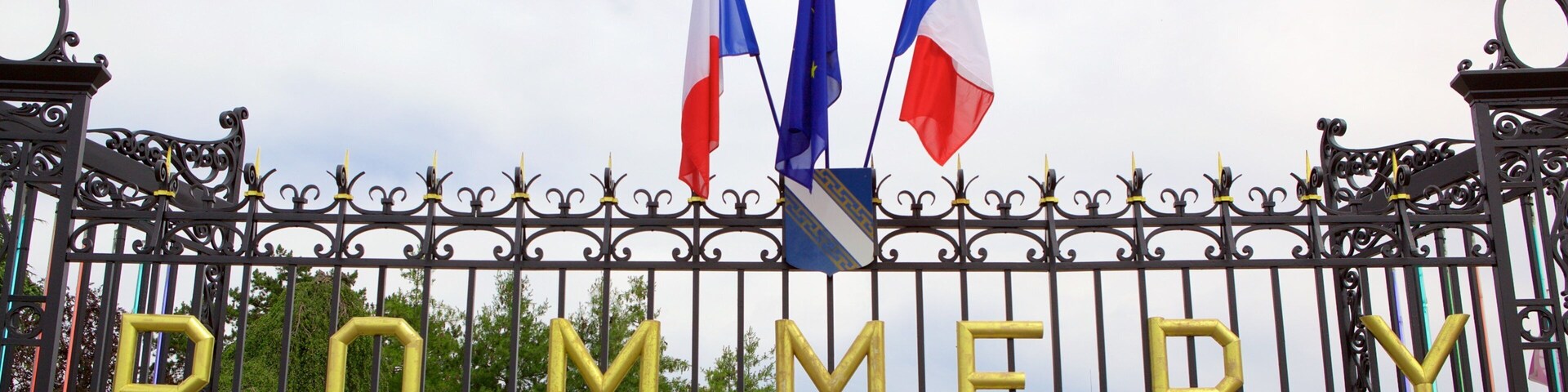 Reims mostrando elementos de patrimônio