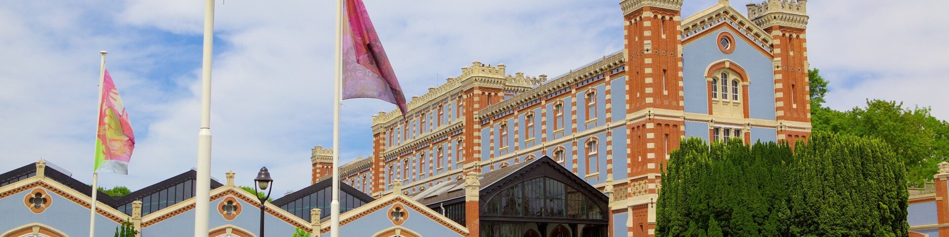 Reims featuring heritage elements