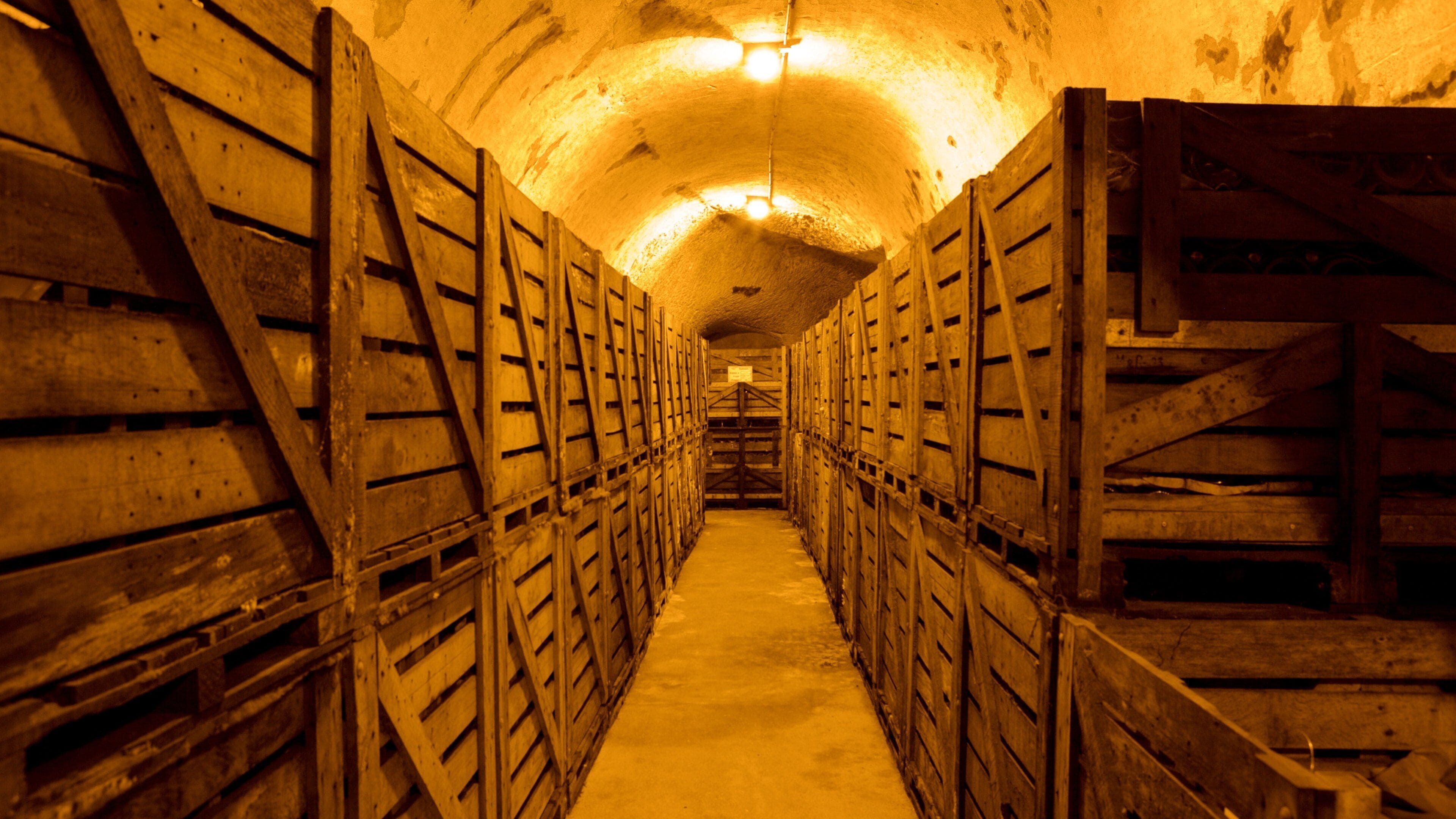 Ein langer, schmal beleuchteter Tunnel mit hölzernen Regalen an den Wänden.