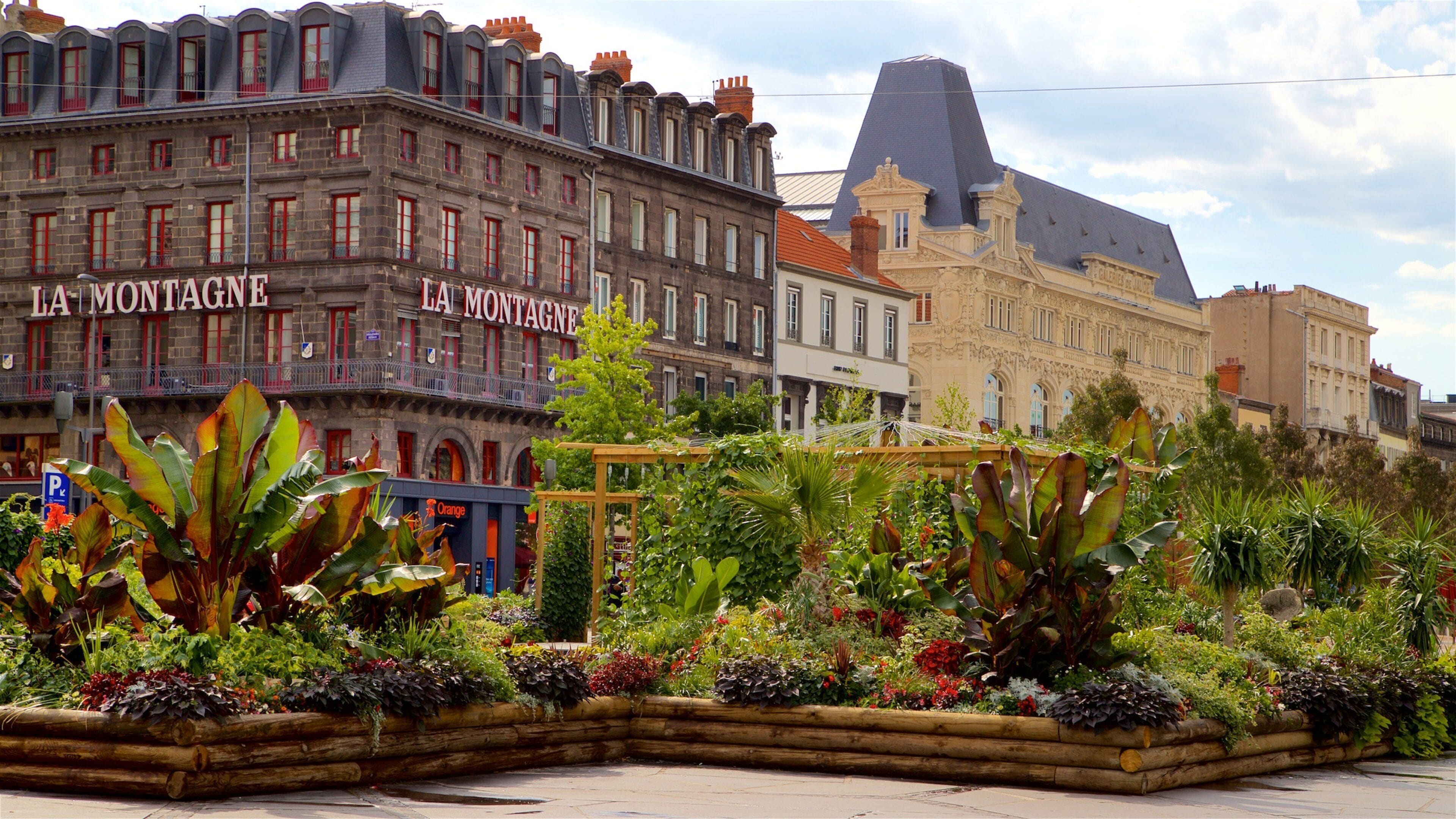 Place de Jaude toont wilde bloemen, een park en historische architectuur