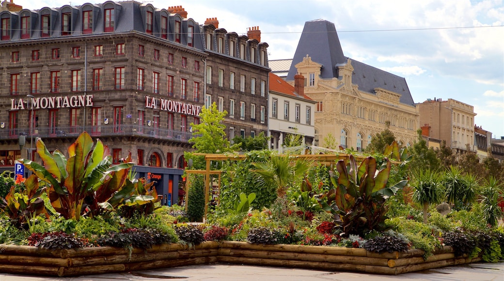 Place de Jaude toont wilde bloemen, een park en historische architectuur
