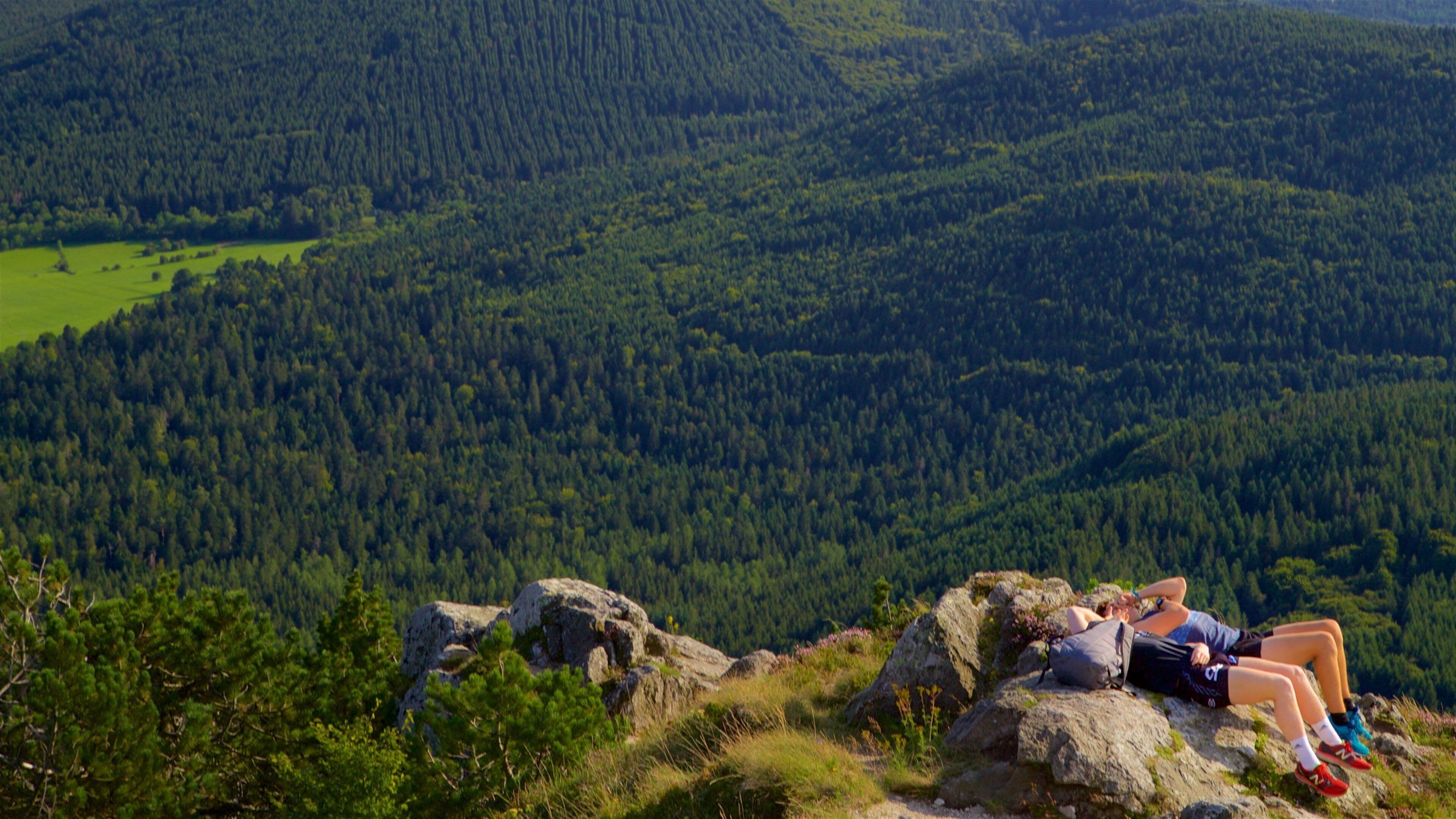 Puy de Dome showing tranquil scenes and landscape views as well as a couple