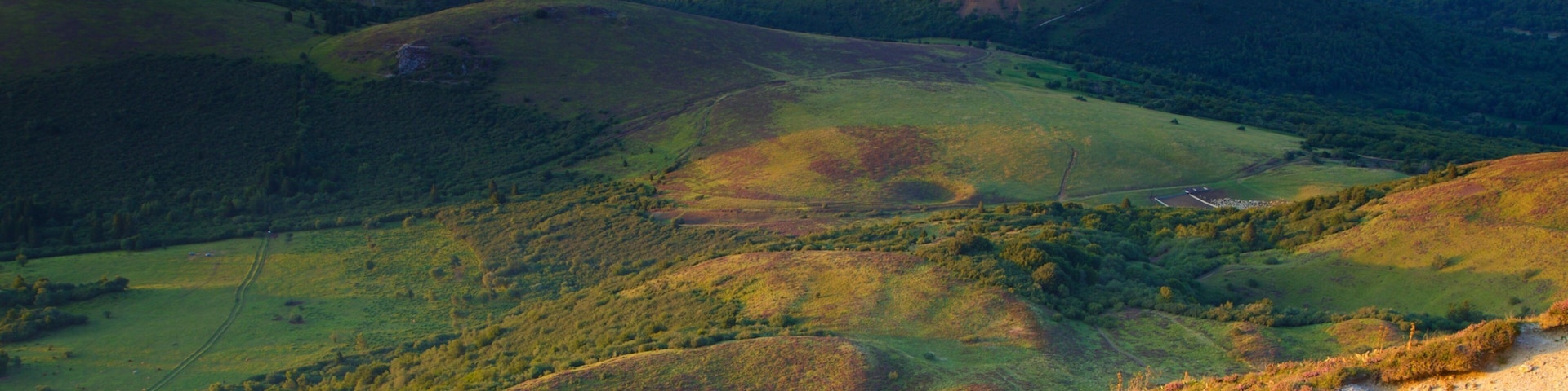 Puy de Dome showing landscape views and tranquil scenes
