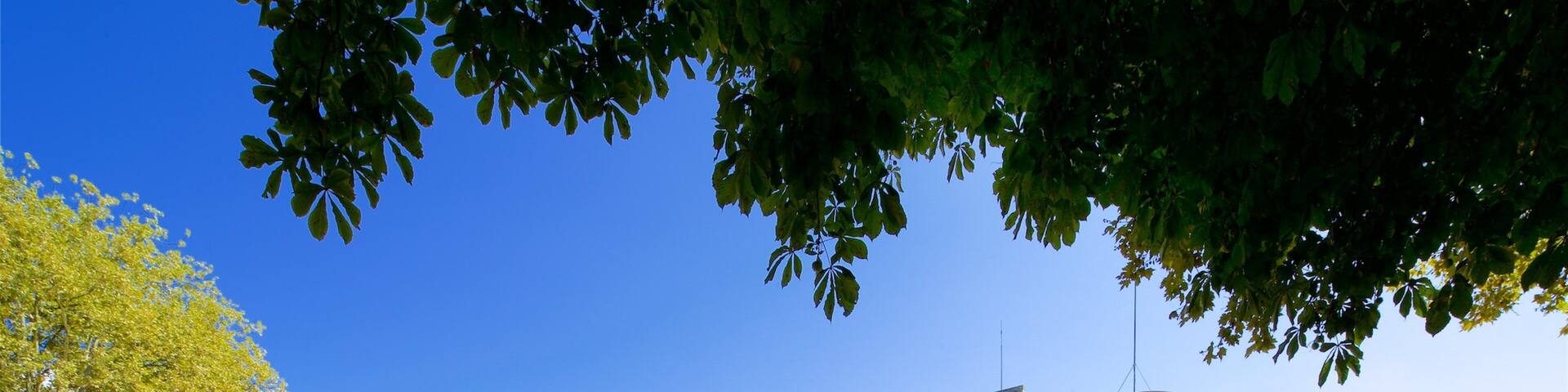 Vichy mettant en vedette patrimoine architectural