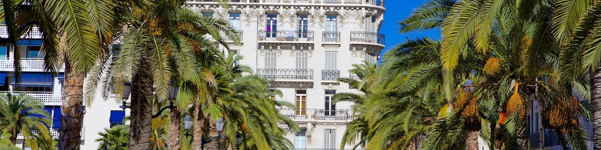 Place de la Liberte featuring a square or plaza and tropical scenes