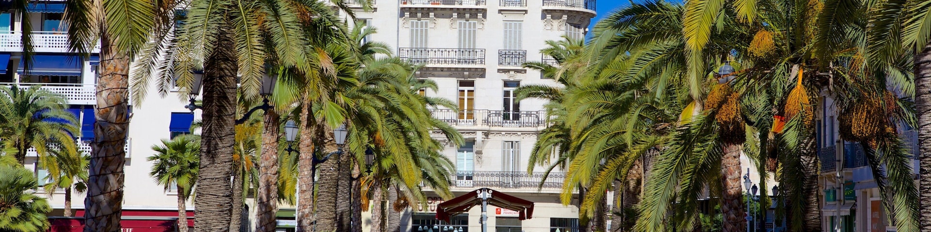 Place de la Liberte featuring a square or plaza and tropical scenes