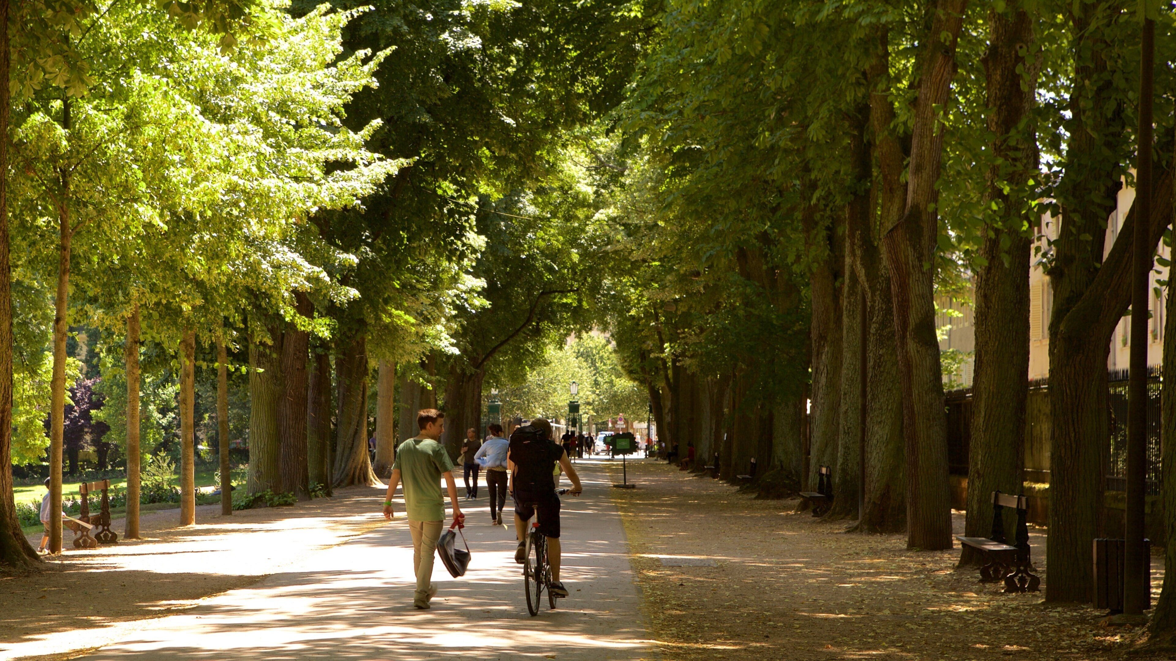 Parc de la Pepiniere showing a park