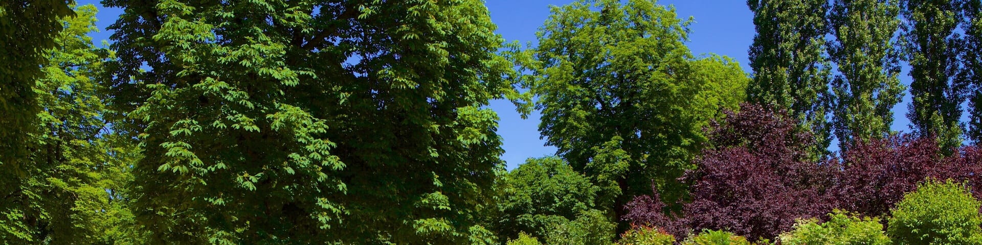 Parc de la Pépinière das einen Outdoor-Kunst und Garten