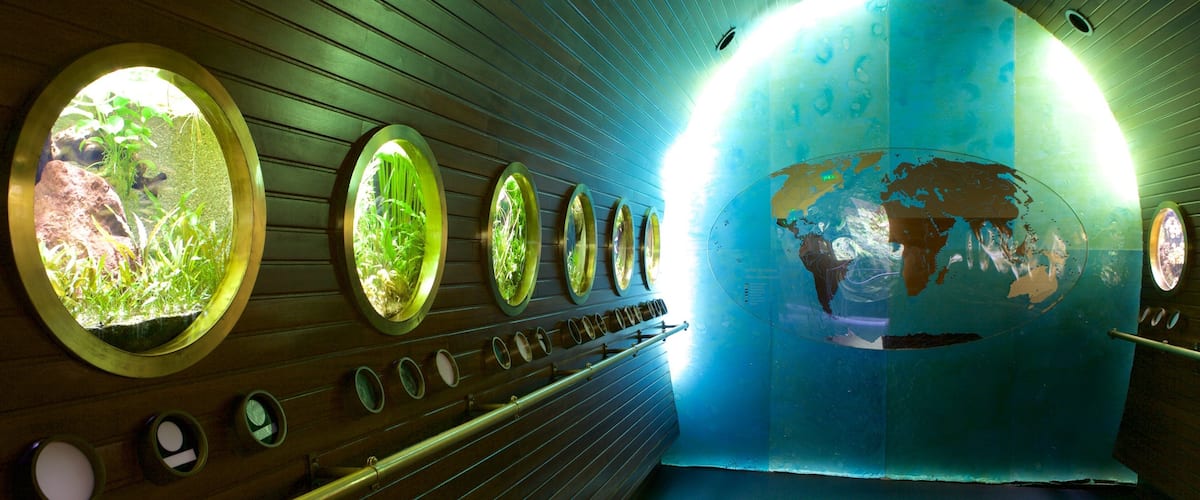 Musee Aquarium de Nancy featuring marine life
