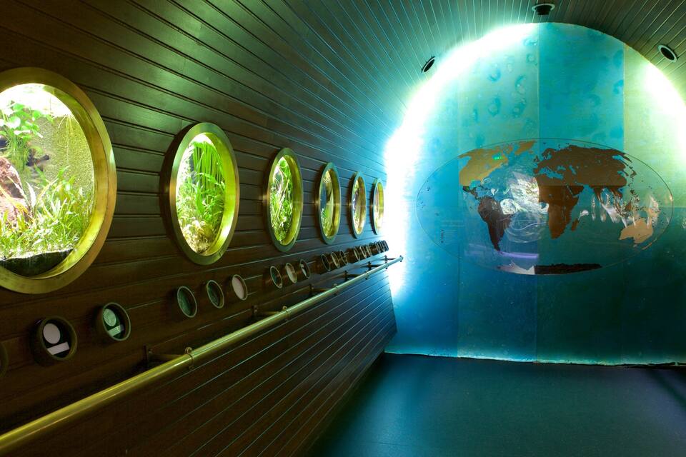 Een tunnel met ronde ramen die planten en een wereldkaart tonen.