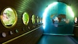 Muséum-Aquarium de Nancy