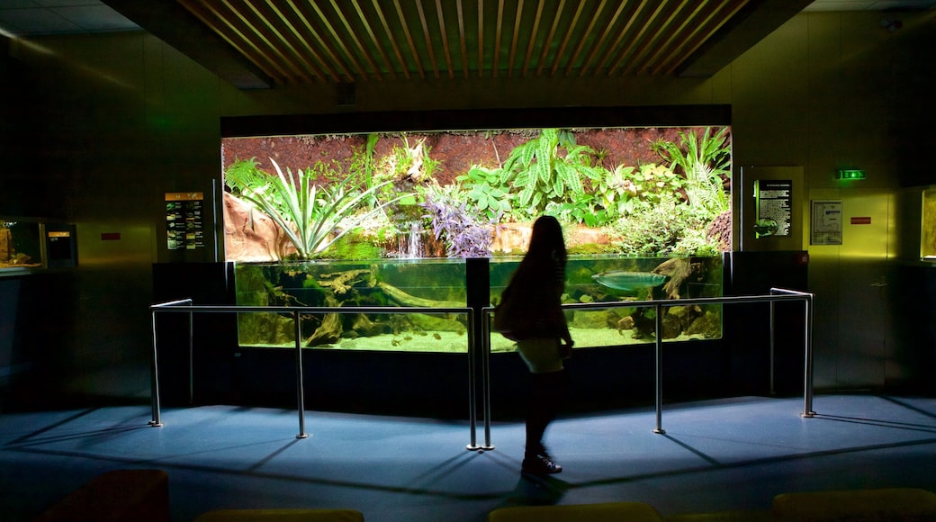 Musee Aquarium de Nancy which includes marine life as well as an individual female