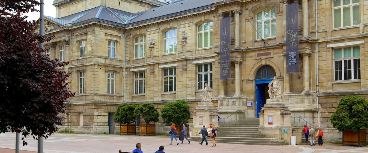 Musee des Beaux-Arts mostrando arquitetura de patrimônio