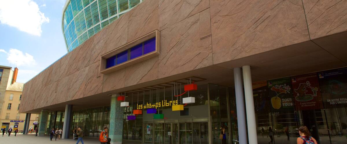 Musee de Bretagne which includes street scenes as well as an individual femail