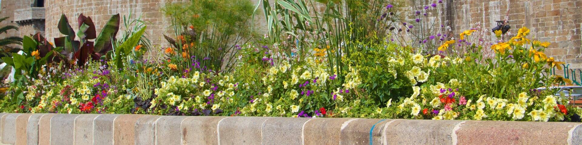 Musee de la Ville showing heritage elements and flowers
