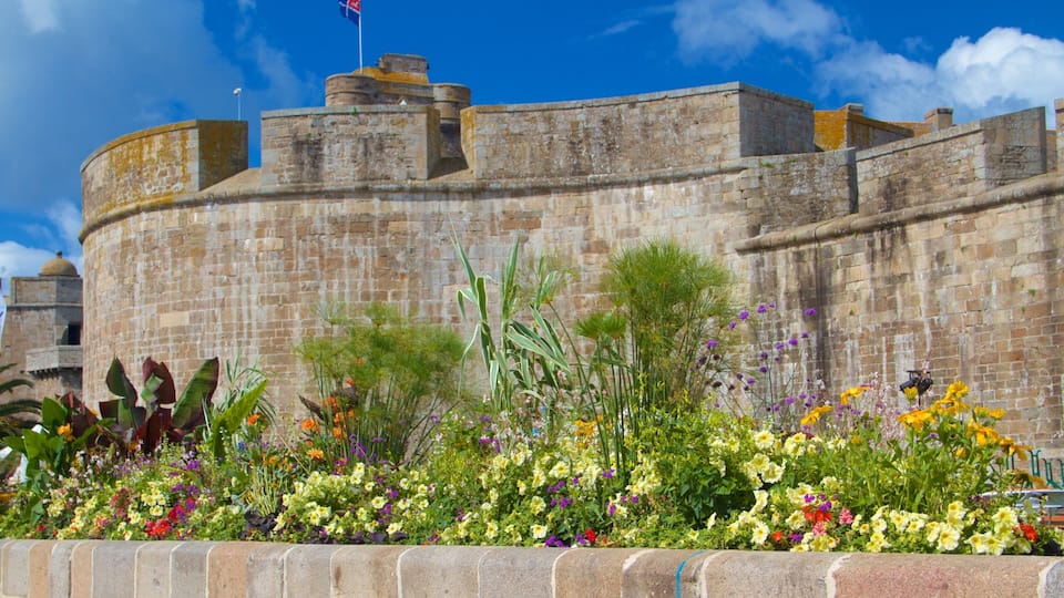 Musee de la Ville showing heritage elements and flowers