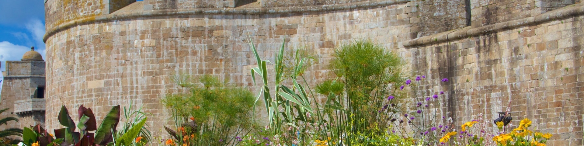 Musée de la Ville montrant patrimoine historique et fleurs