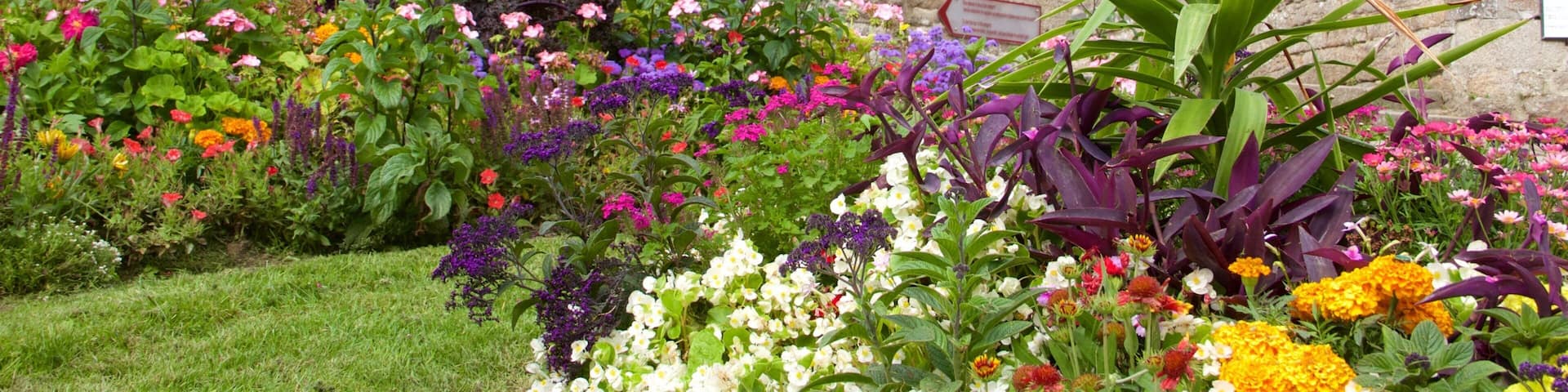 Chateau de Dinan mostrando um parque, flores silvestres e arquitetura de patrimônio