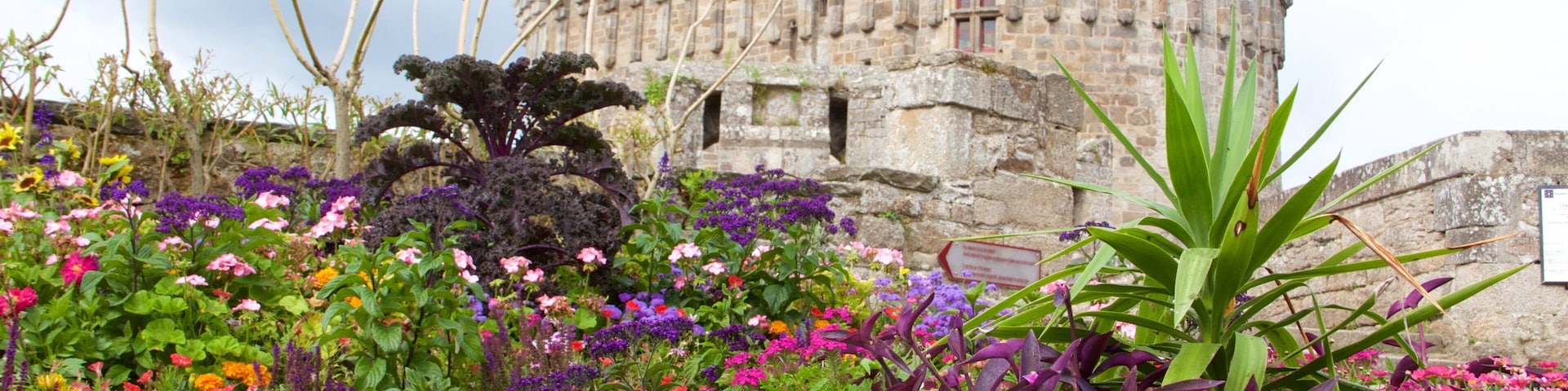 Chateau de Dinan mostrando um parque, flores silvestres e arquitetura de patrimônio