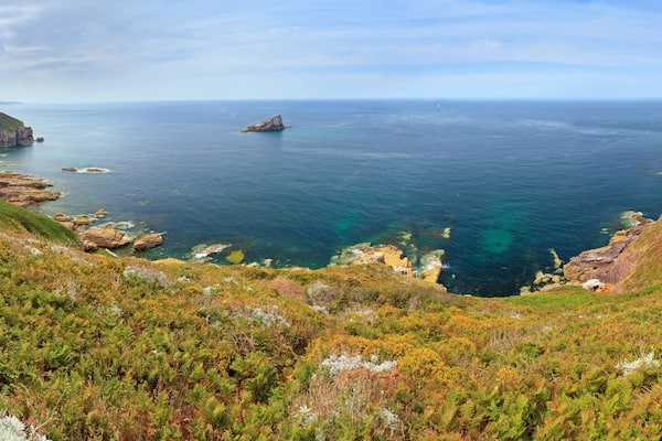 Beautiful 180 degree panoramic view of the cliffs at Cap Fréhel in Brittany, France, with its lighthouses and moorland with vibrant heather flowers (Calluna vulgaris) and common gorse (Ulex europaeus)