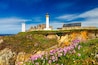 Panorama of lighthouse and ruin of monastery, Pointe de Saint Mathieu, Brittany (Bretagne), France
