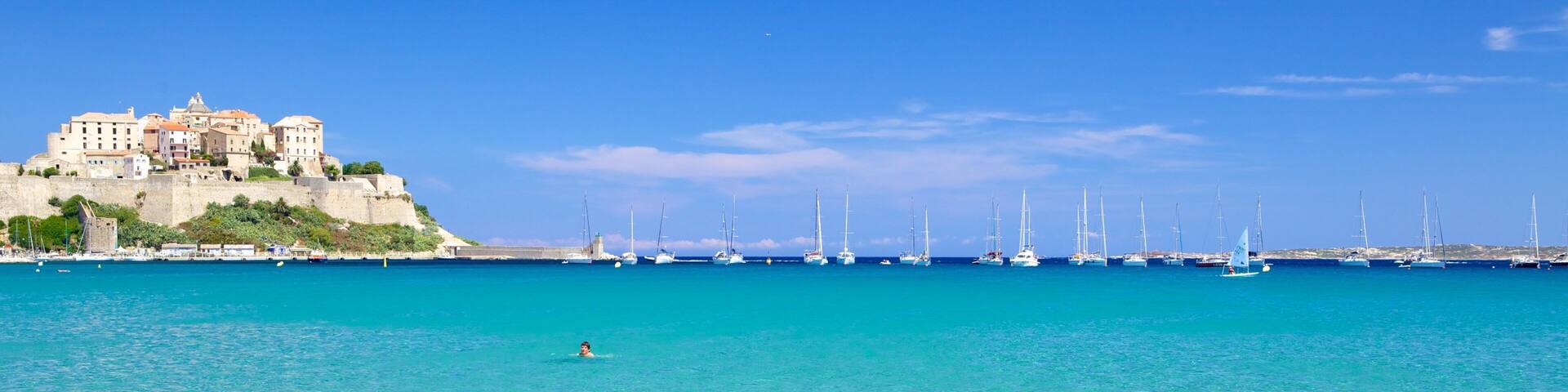Calvi Beach featuring a coastal town and general coastal views as well as a couple