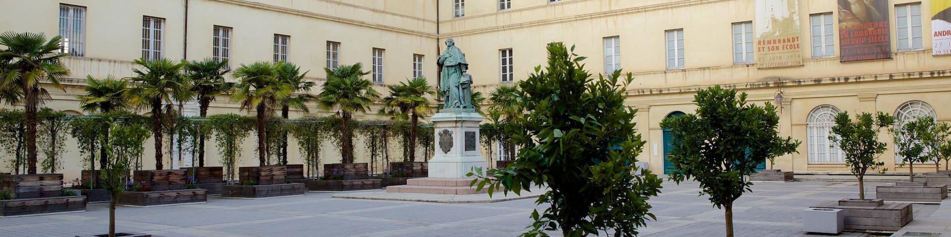 Musee Fesch showing a square or plaza