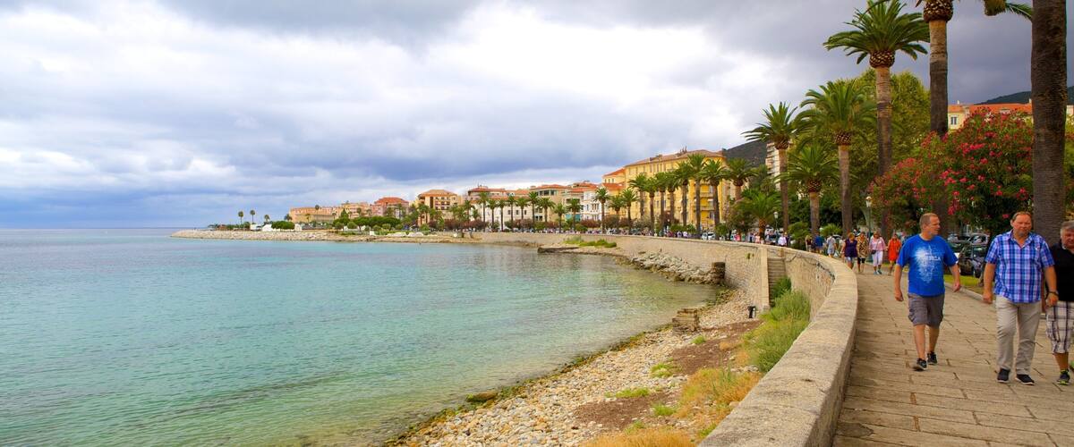 A coastal promenade with a clear sea, palm trees, and buildings along the shore.