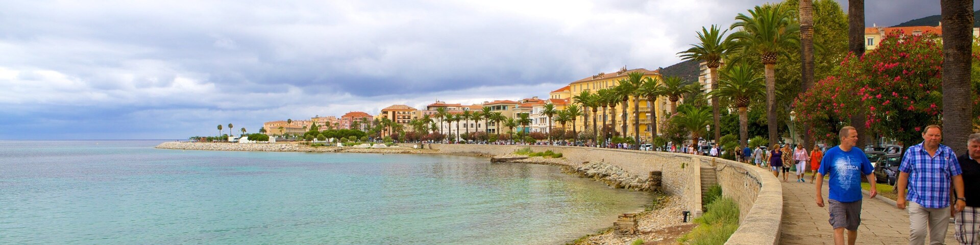 A coastal promenade with a clear sea, palm trees, and buildings along the shore.