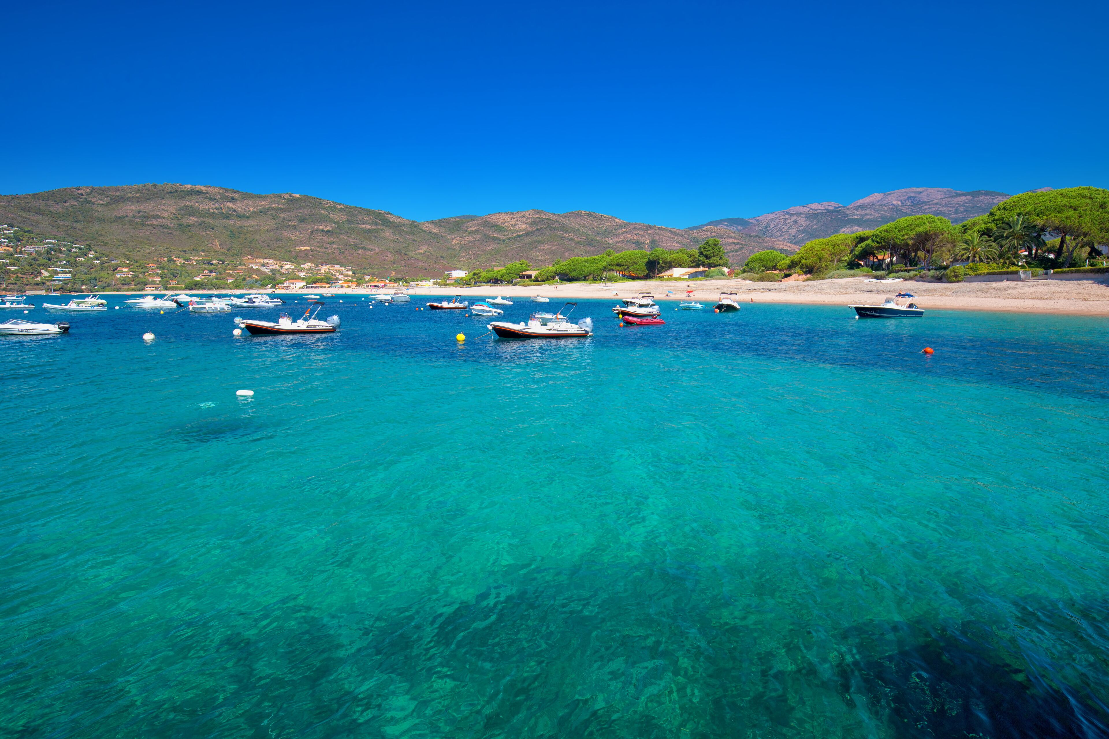 Mediteranian Corsica island with pine trees, sandy beach, tourquise clear water and yachts in bay, Corsica, France