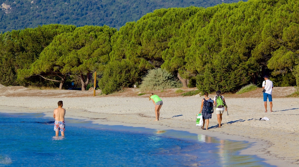 聖朱利亞海灘 其中包括 沙灘 以及 小群人