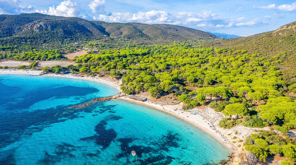 Aerial view with Palombaggia beach in Corsica island, France