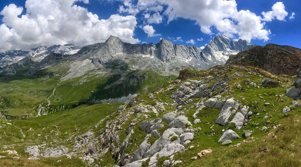 Vanoise-nationalparken