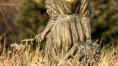 SDSU Gardens - great place for photography.