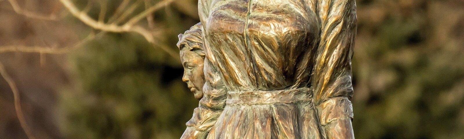 SDSU Gardens - great place for photography.