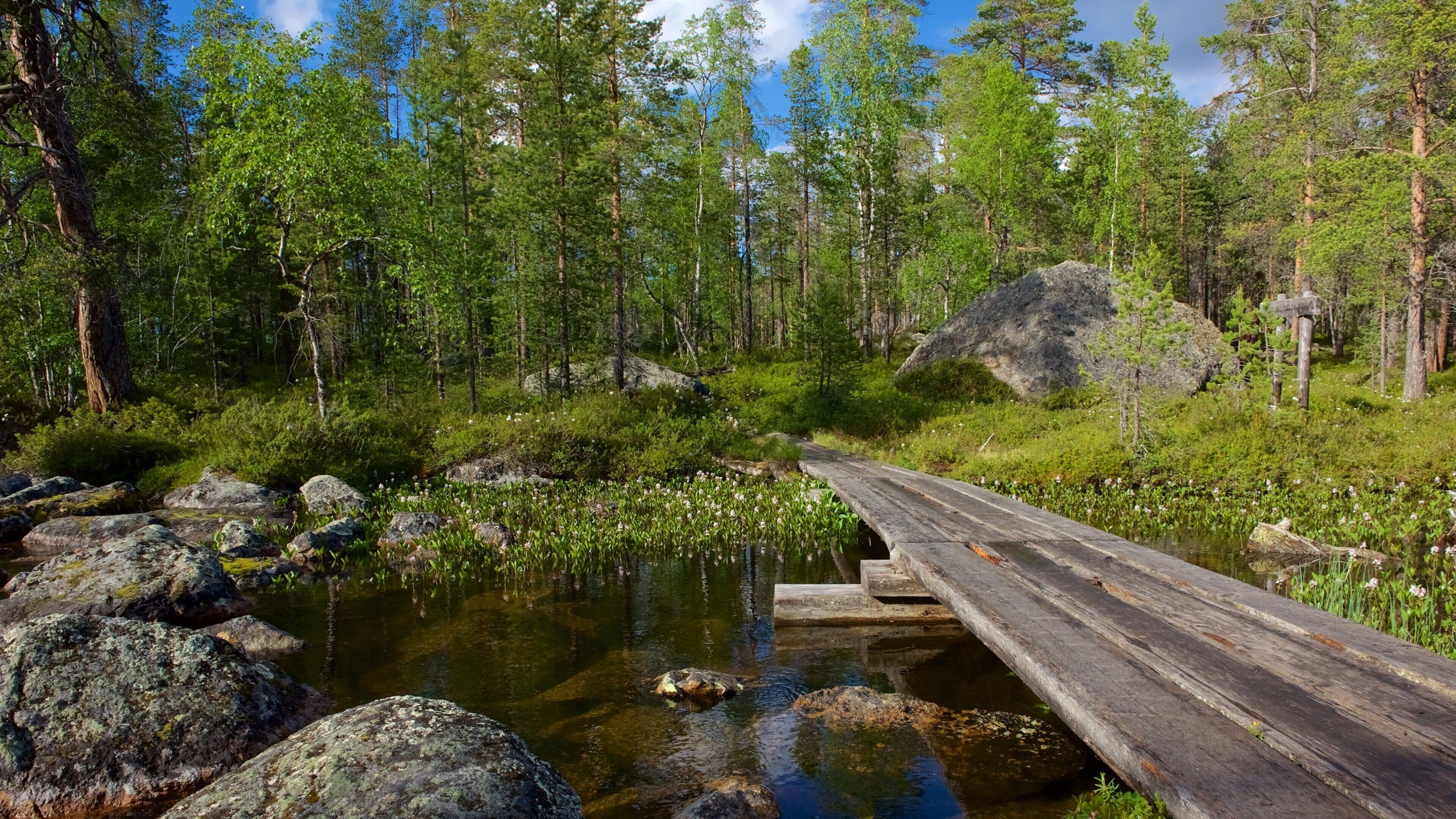 Pielpajarvi Wilderness Church showing a bridge, wetlands and forest scenes