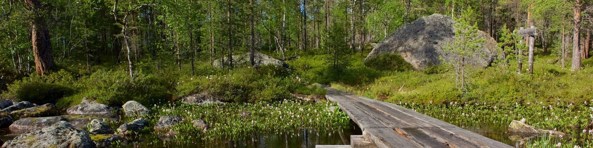 Pielpajarvi Wilderness Church showing a bridge, wetlands and forest scenes