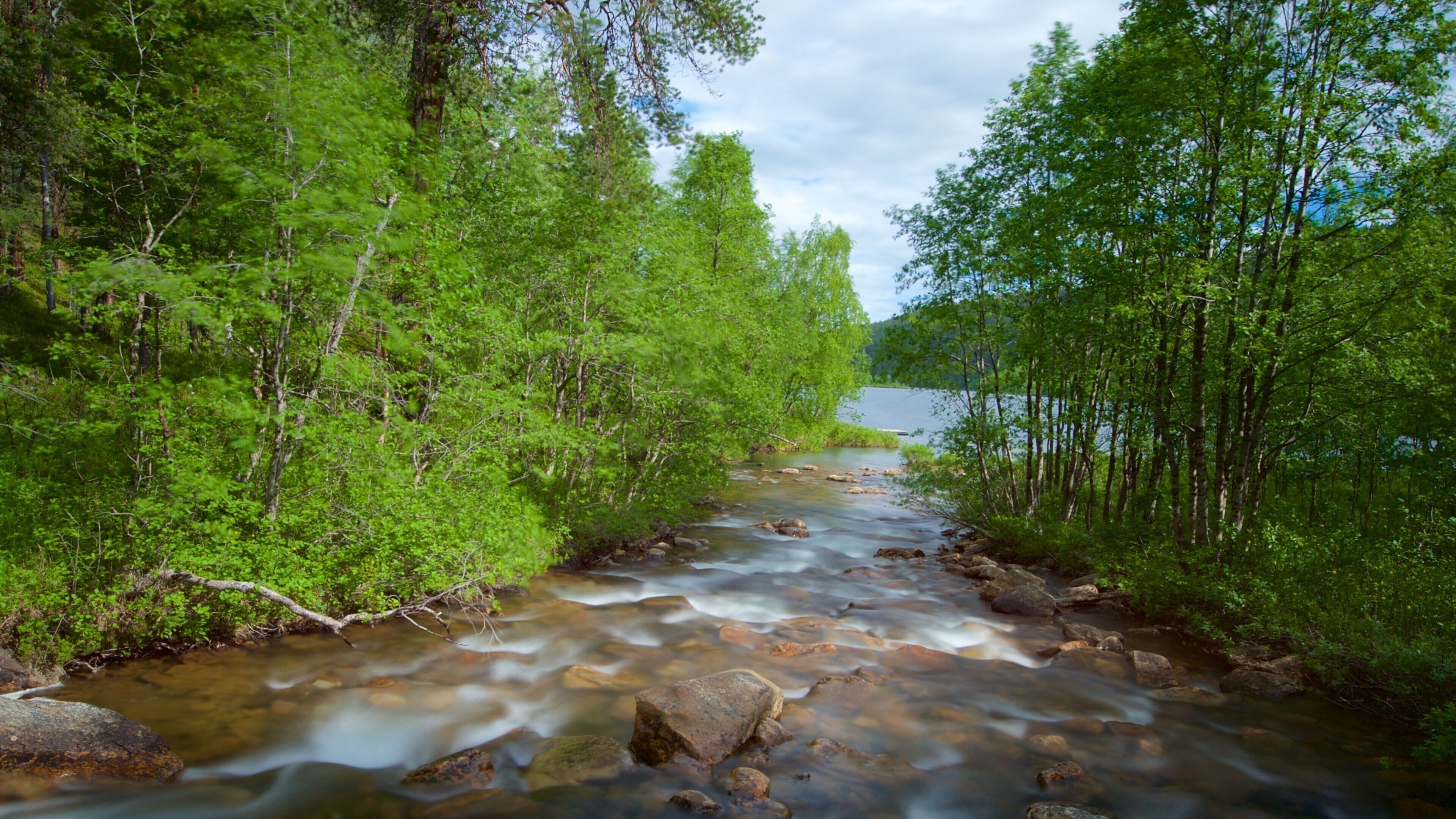 Lemmenjoki National Park showing forest scenes, rapids and tranquil scenes
