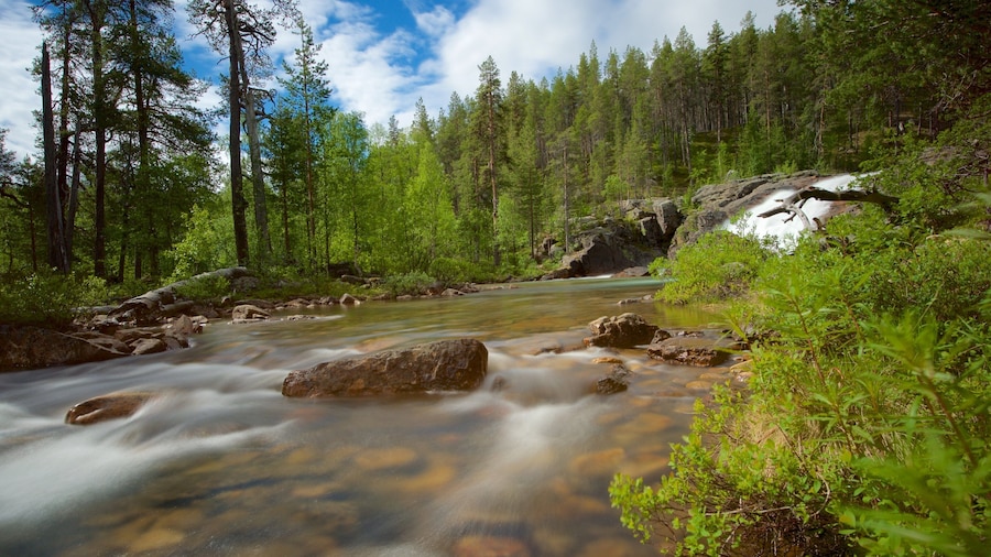 Lemmenjoki National Park which includes rapids, tranquil scenes and forest scenes